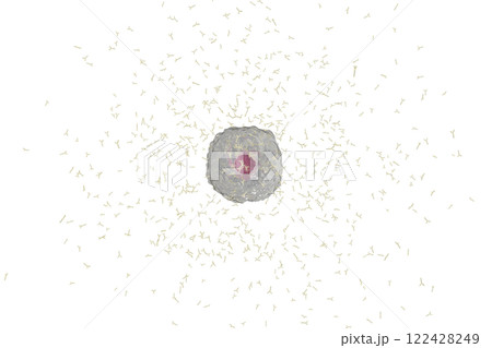 抗体を産生する小型の形質細胞のイメージ(細胞膜半透過) 抗体を産生する小型の形質細胞のイメージ(細胞膜半透過) 122428249