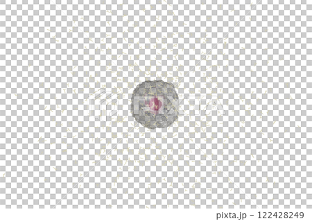 抗体を産生する小型の形質細胞のイメージ(細胞膜半透過) 抗体を産生する小型の形質細胞のイメージ(細胞膜半透過) 122428249