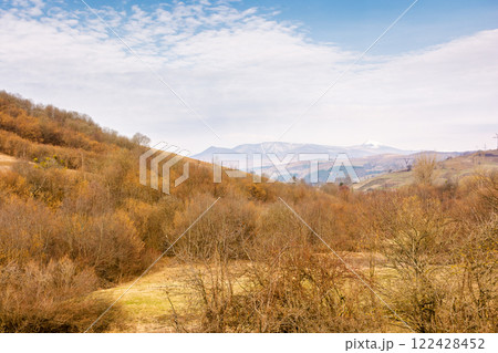 countryside scenery in march. natural environment. cloudy weather. forested carpathian mountain landscape in early spring. pikui peak of watershed ridge in the distance. season change 122428452
