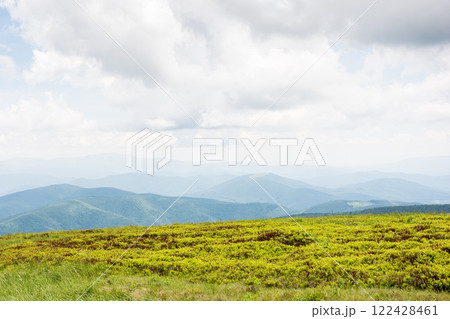 alpine meadow of mountain smooth in summer. outdoor adventure. cloudy weather. watershed ridge of ukrainian carpathians in the distance. spectacular scenery of place in transcarpathia 122428461