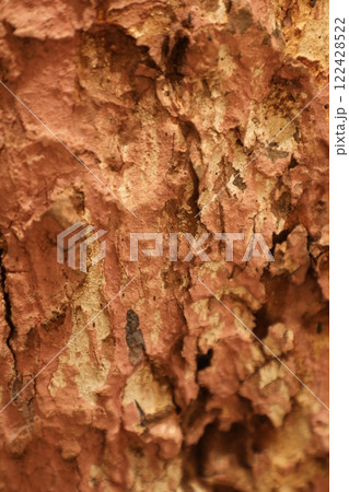 Tree Trunk texture macro shot 122428522