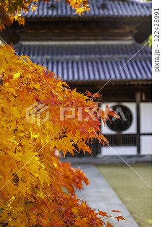 井山宝福寺 仏殿 岡山県総社市 井山宝福寺 仏殿 岡山県総社市 122428991