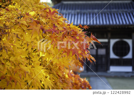 井山宝福寺　仏殿　岡山県総社市 122428992