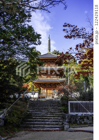 井山宝福寺　三重塔　岡山県総社市 122429118