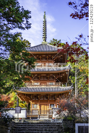 井山宝福寺 三重塔 岡山県総社市 井山宝福寺 三重塔 岡山県総社市 122429119