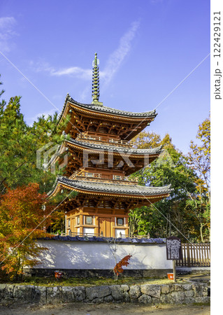 井山宝福寺　三重塔　岡山県総社市 122429121