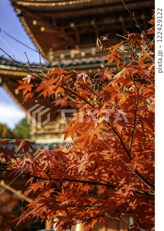 井山宝福寺　三重塔　岡山県総社市 122429122