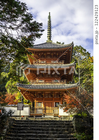 井山宝福寺　三重塔　岡山県総社市 122429123