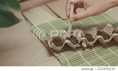 Egg carton being use as seed starter, promoting recycle, reuse, and sustainable method in gardening Egg carton being use as seed starter, promoting recycle, reuse, and sustainable method in gardening 122430233