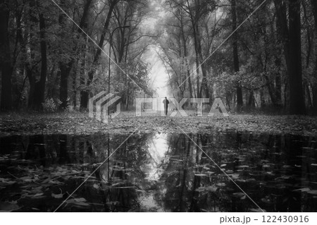 autumn landscape in the park black and white photo 122430916