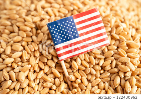 US America flag with Wheat and grains ears agricultural, organic farm 122430962