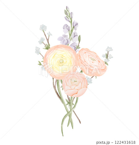 Bouquet of Ranunculus Flowers with Freesia and Snow Willow Branches. Watercolor Hand drawn Spring floral illustration in pastel colors isolated on white background. Botanical art for invitations 122431618