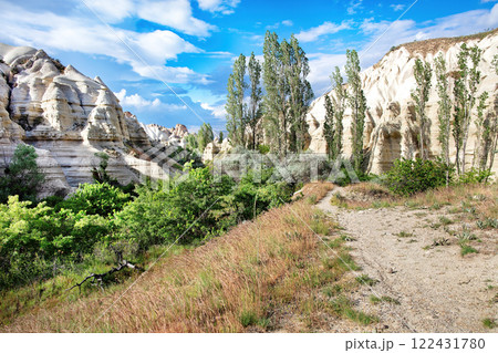 Beautiful landscape of unique rock formations and lush vegetation under a vibrant sky Beautiful landscape of unique rock formations and lush vegetation under a vibrant sky 122431780