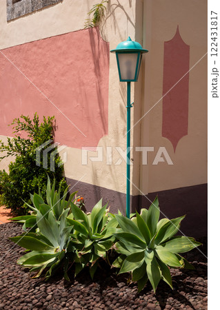 Agave plants and a street lamp, Madeira, Portugal 122431817