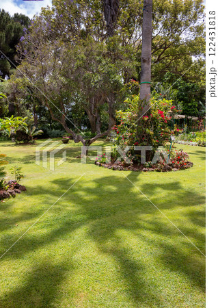Park with fresh grass and greenery, Madeira, Portugal 122431818