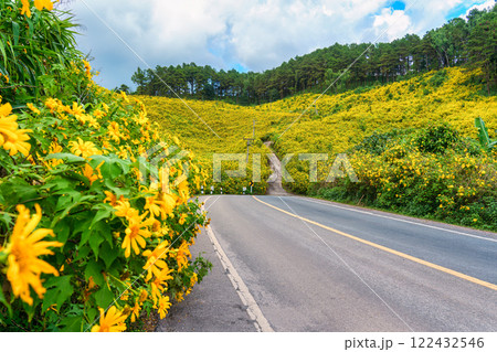 Scenic road through field of Tree Marigold or Mexican Sunflower blooming on hillside in Doi Mae U Kho 122432546