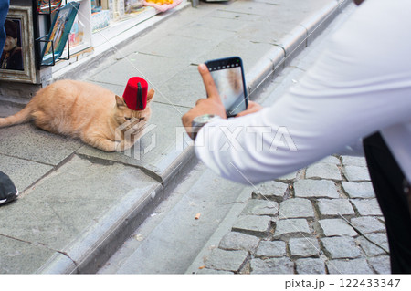 Unrecognizable person taking a picture of a cat with turkish fez. Street in Istanbul, Turkey Unrecognizable person taking a picture of a cat with turkish fez. Street in Istanbul, Turkey 122433347