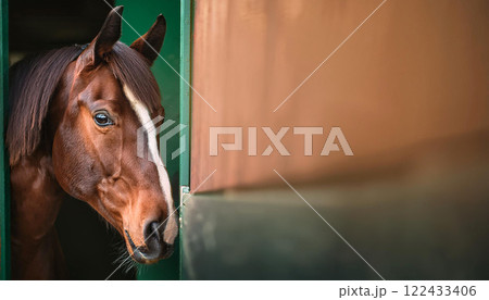Beautiful brown horse in a barn, generative ai 122433406