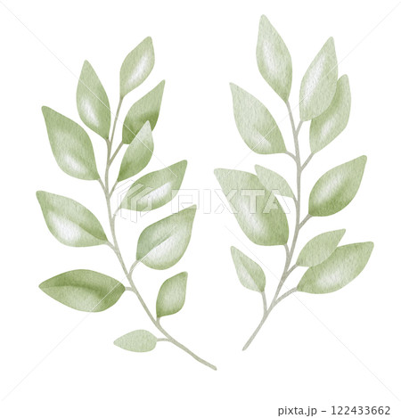 Hand-drawn watercolor illustration of two elegant eucalyptus branches with lush, aromatic leaves. Perfect for wedding invitations, botanical prints, minimalist home decor, romantic greeting cards. Hand-drawn watercolor illustration of two elegant eucalyptus branches with lush, aromatic leaves. Perfect for wedding invitations, botanical prints, minimalist home decor, romantic greeting cards. 122433662