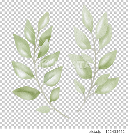 Hand-drawn watercolor illustration of two elegant eucalyptus branches with lush, aromatic leaves. Perfect for wedding invitations, botanical prints, minimalist home decor, romantic greeting cards. Hand-drawn watercolor illustration of two elegant eucalyptus branches with lush, aromatic leaves. Perfect for wedding invitations, botanical prints, minimalist home decor, romantic greeting cards. 122433662