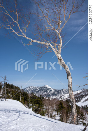 冬の志賀高原　岩菅山 122433774