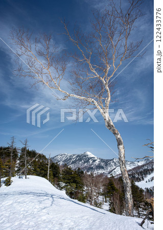 冬の志賀高原　岩菅山 122433776