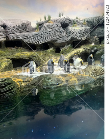 ペンギンの群れ 122434923