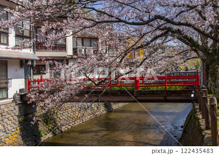 城崎温泉の桜～さくら橋近辺～(兵庫県-城崎温泉) 122435483