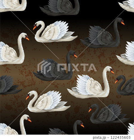 Seamless pattern with black and white swans on the dark gold background. Vector. 122435603
