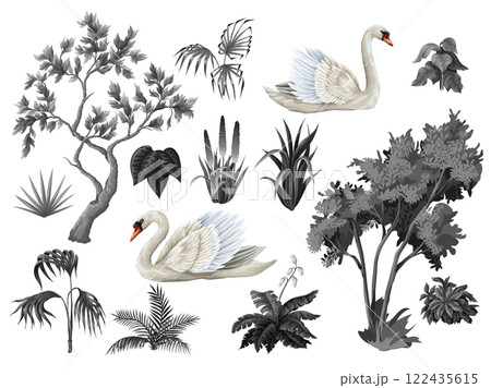 Monochrome trees, plants ans swans isolated. Vector. Monochrome trees, plants ans swans isolated. Vector. 122435615
