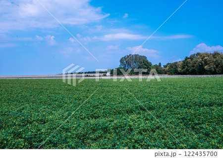 The peanut (Arachis hypogaea), also known as the groundnut, goober, goober pea, pindar or monkey nut, is a legume crop grown mainly for its edible seeds. The peanut (Arachis hypogaea), also known as the groundnut, goober, goober pea, pindar or monkey nut, is a legume crop grown mainly for its edible seeds. 122435700