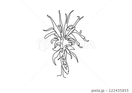 Continuous one line drawing beauty fresh monarda for garden logo. Decorative horsemint oswago tea flower concept for floral invitation card frame. Single line draw design vector graphic illustration 122435855