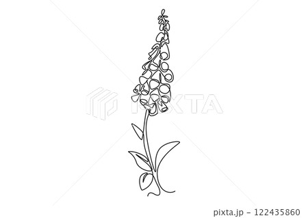 Continuous one line drawing beauty fresh foxglove for garden logo. Decorative digitalis purpurea flower concept for home wallpaper decor art print. Single line draw design vector graphic illustration 122435860