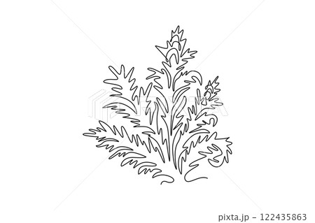 Continuous one line drawing beauty fresh bear's breeches for garden logo icon. Decorative acanthus flower concept for floral invitation card frame. Single line draw design vector graphic illustration 122435863