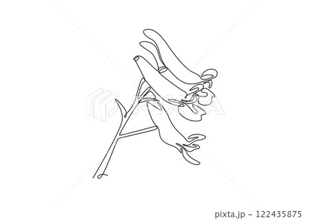 Single one line drawing beauty fresh perennial herbaceous plant wall art home decor poster print. Decorative corydalis flower for floral card. Continuous line draw design graphic vector illustration Single one line drawing beauty fresh perennial herbaceous plant wall art home decor poster print. Decorative corydalis flower for floral card. Continuous line draw design graphic vector illustration 122435875