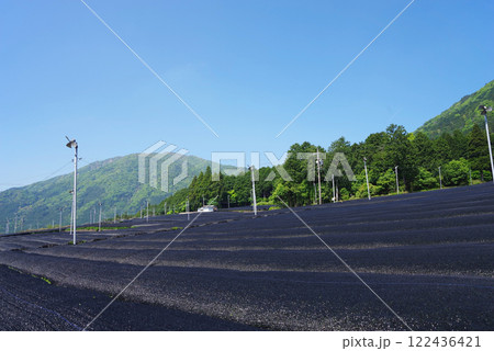 かぶせ茶(冠茶)畑【伊勢茶・すいざわ茶・三重県四日市市水沢町】 かぶせ茶(冠茶)畑【伊勢茶・すいざわ茶・三重県四日市市水沢町】 122436421
