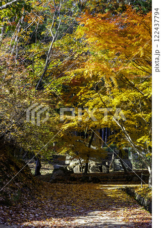 井山宝福寺　紅葉　岡山県総社市 122437794