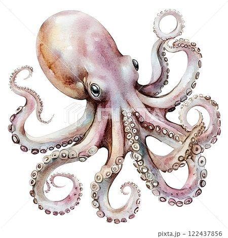 Hand-drawn watercolor octopus illustration isolated, sea life creature painting 122437856