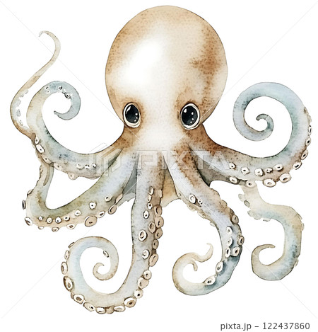 Hand-drawn watercolor octopus illustration isolated, sea life creature painting Hand-drawn watercolor octopus illustration isolated, sea life creature painting 122437860