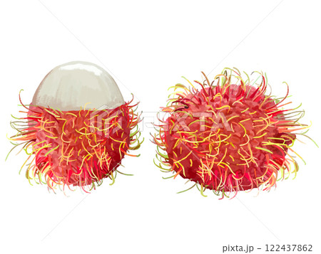 ランブータン(1個と剥き) ランブータン(1個と剥き) 122437862