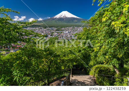 《山梨県》初夏大冠雪の富士山・新緑の新倉山浅間公園 122438259