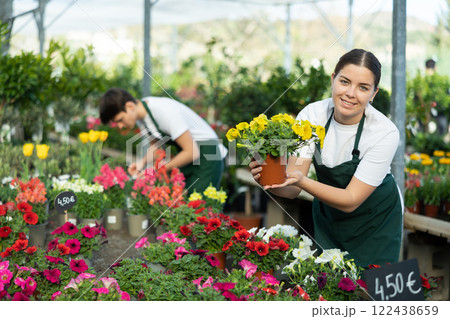Skillful young woman, botanist checking flower petals while holding pot with Petunia in glasshouse Skillful young woman, botanist checking flower petals while holding pot with Petunia in glasshouse 122438659