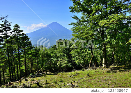 御坂山地の金山山頂から望む夏の富士山 122438947