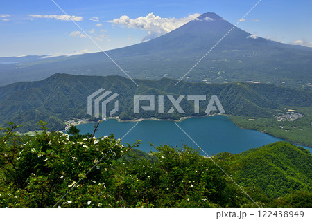 ノイバラ咲く御坂山地の雪頭ヶ岳より富士山と西湖を望む 122438949
