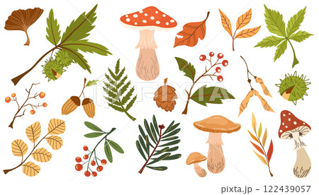 1976_autumn_leaves2 122439057