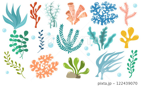 1810_coral_set 122439070