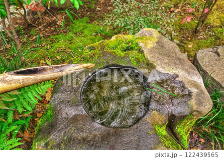 小さな流れ(止まった時間) 小さな流れ(止まった時間) 122439565