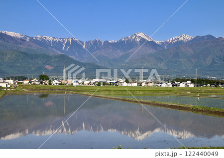 水田と北アルプス・水鏡（長野県・安曇野市） 122440049