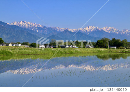 水田と北アルプス・水鏡（長野県・安曇野市） 122440050