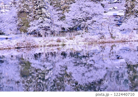 初雪の朝水面を飾る木々の雪景色 122440710